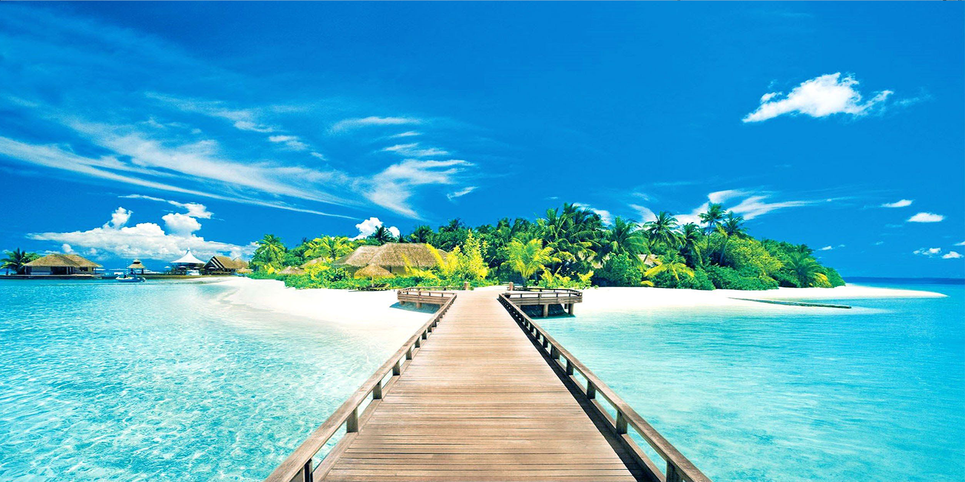 Vacation Experience